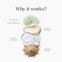 Cica Microneedling Exosome Serum | 30ml