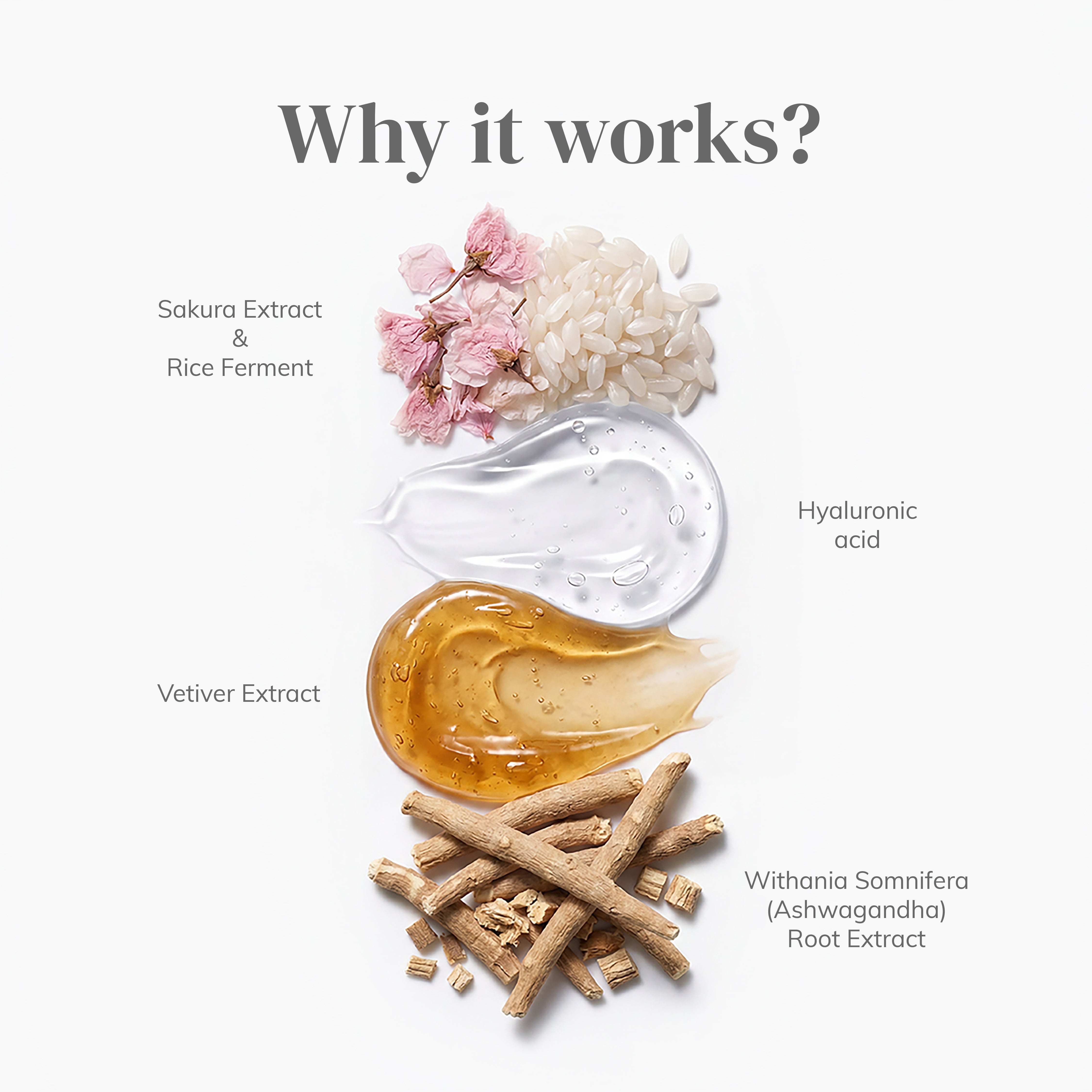 Sakura & Rice Water Sunmist SPF 50+ PA++++ I 60ml